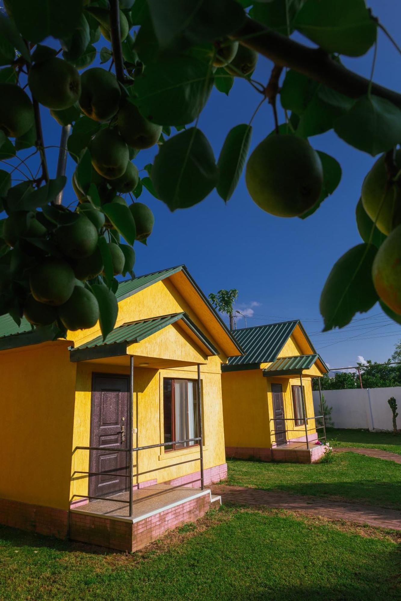 Senima'S Paradise Батуми Экстерьер фото