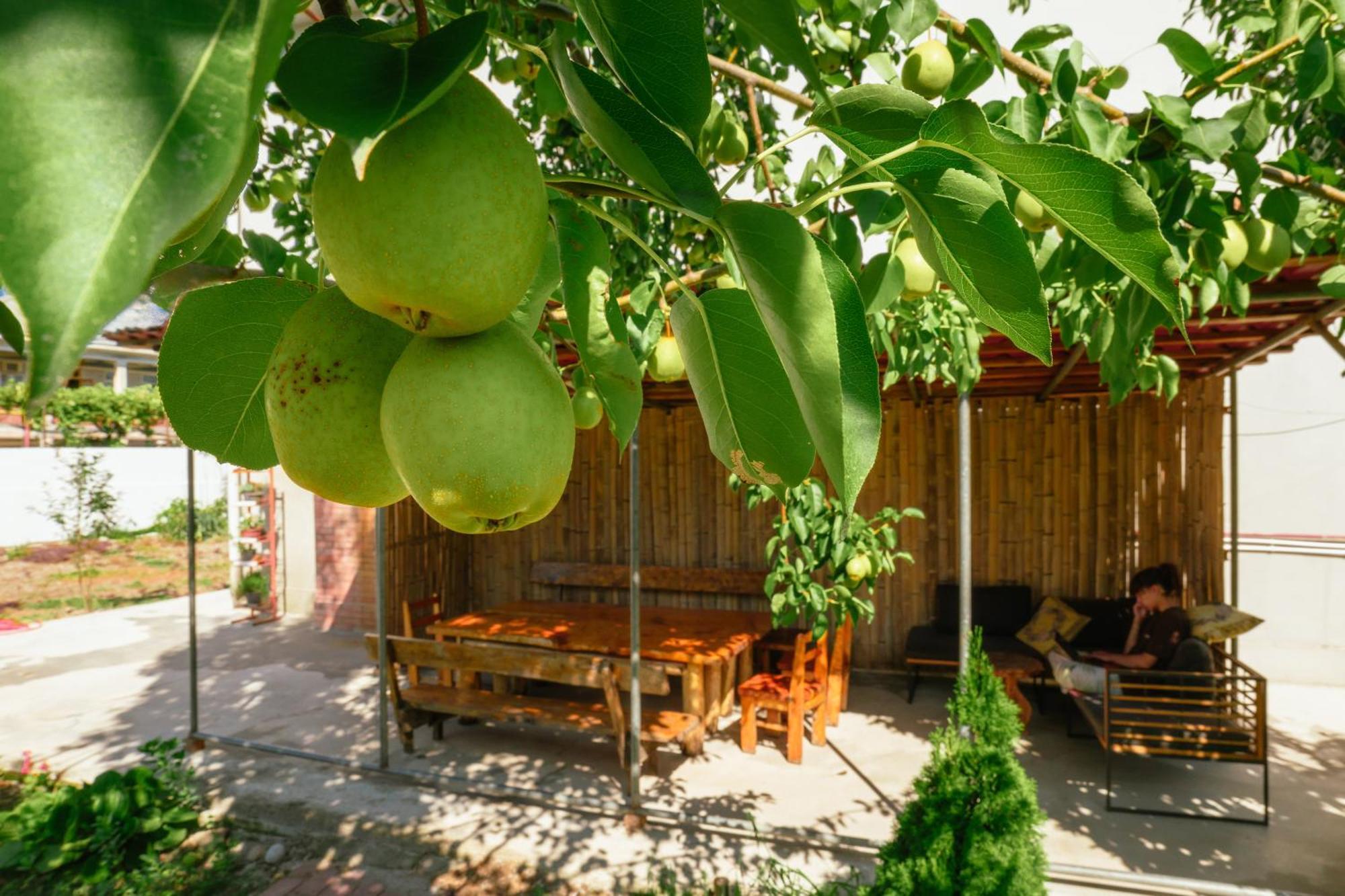 Senima'S Paradise Батуми Экстерьер фото